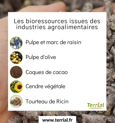 Les Bioressources issues des industries agroalimentaires